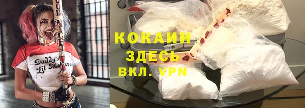 гашик Богородицк