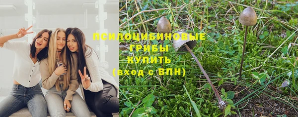 apvp Богданович