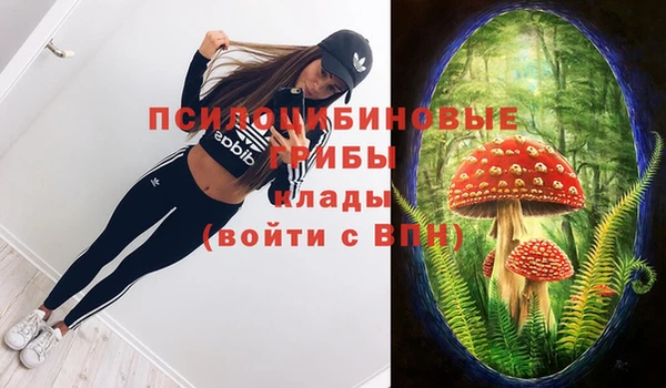 apvp Богданович