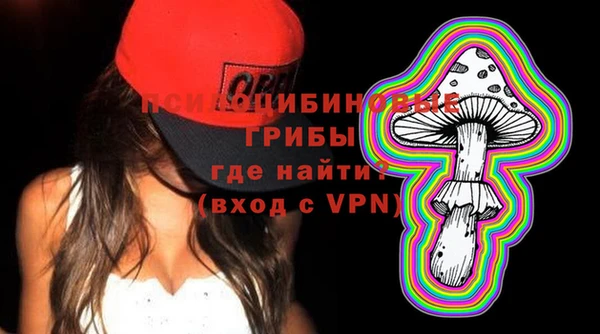 гашик Богородицк