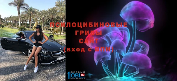 apvp Богданович