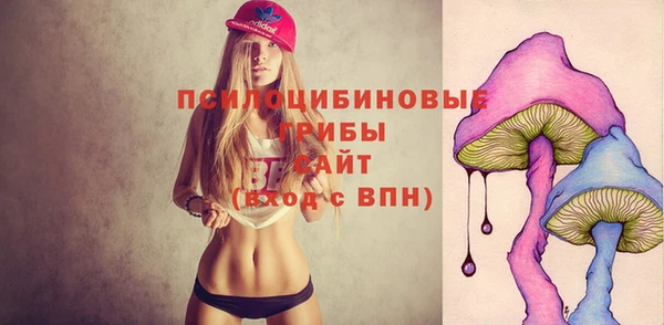 apvp Богданович