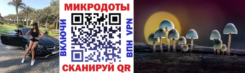 Псилоцибиновые грибы Psilocybine cubensis где купить наркоту Михайлов